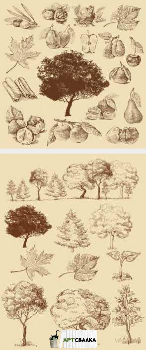 Нарисованные деревья и плоды | Drawn trees and fruits